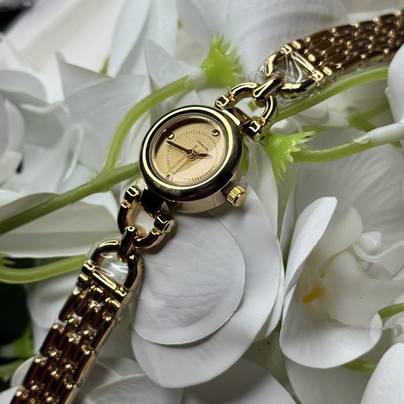 Premium Ladies Watch 47